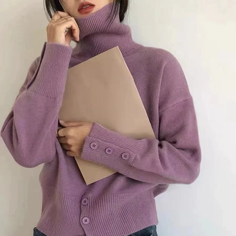 Turtleneck Pullover Sweater Women Knitted Shirts Autumn Winter Female Fashion Long Sleeve Elastic Casual Sweaters Tops Knitwear.