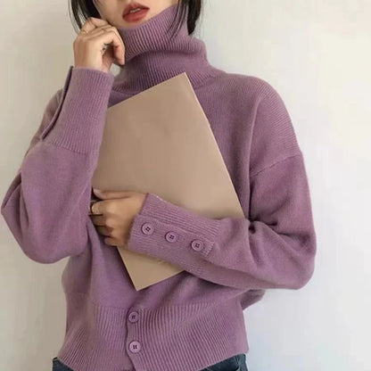 Turtleneck Pullover Sweater Women Knitted Shirts Autumn Winter Female Fashion Long Sleeve Elastic Casual Sweaters Tops Knitwear.
