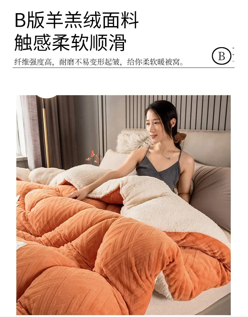Super Warm Lamb Wool Quilt Winter Thickened Cotton Quilt Warm Cotton Double Sided Velvet Soft Extra Large Blanket 이불.