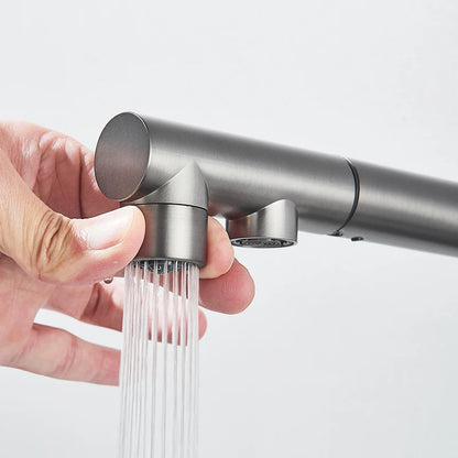 Rozin Water Purifier Kitchen Faucet Black Pull Out Flexible Filter Kitchen Faucets Crane Brass 2 in 1 Hot Cold Water Mixer Tap