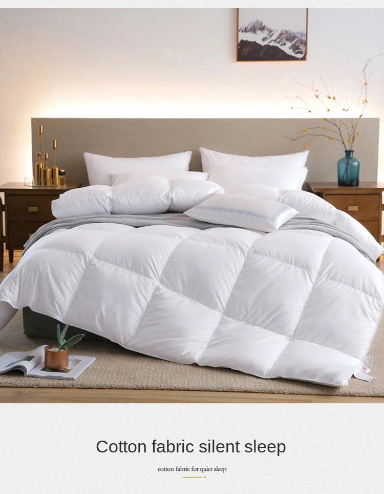 Down duvet 95 white goose down five-star hotel warm double single duvet core goose down duvet.